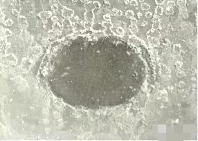 水性無機富鋅底漆的反應(yīng)機理示意圖